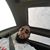 Reginal Fields's profile image