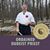 Don Plummer's profile image