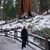 Barbara Spencer's profile image