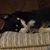 Nancy Hinton Smithson's profile image