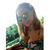 Salena Youngman's profile image