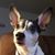 Mandy Lardomita's profile image