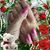 Beverly Dynia Tancak Carey's profile image
