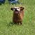 Debi Burroughs's profile image
