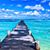 Lisa Limon Sherman's profile image