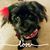 Jan Sticka's profile image