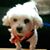 Carolyn Capps's profile image