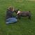 Debby Charles's profile image