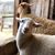 Nora Christine Flanary- Bowman's profile image