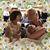 Joanne Farrell's profile image
