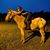 Jen C. Cleere's profile image