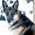 Sue Royston's profile image