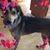 Dorothy Gwyn's profile image