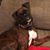 Rhoda Whitfield Baumfalk's profile image