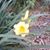 Julie Kurtz's profile image