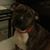 Jeannette Jucha's profile image