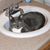 Judy Skadsheim Rowe's profile image