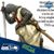 Michael Hicks's profile image