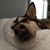 Sam Jones Ledford's profile image