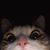 Jose Reyes's profile image