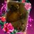 Mel Baker's profile image