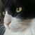 Michael Sheldon Jr.'s profile image