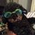 Tina Elmore's profile image