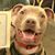 Kelly Butterfield's profile image