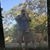 Terry Massey's profile image