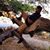 Kenney Bradford Jr's profile image