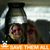 Misti Mills's profile image