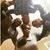 B Janell Robertson's profile image