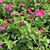 Michele Whitney's profile image