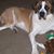 Ches Linda Phillips Mangham's profile image