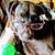Carrie Peters Mescall's profile image