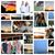 Stacie Rene Jackson's profile image