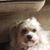 Burtis Taylor's profile image