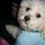 Ann Voegele's profile image
