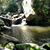 Brenda Blamer's profile image