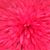 Cathie Terrill's profile image