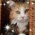 Christine Derting's profile image