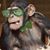 Bob Linaberry-Charis's profile image