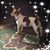 Susan Craton's profile image
