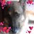 Rocky Ash's profile image