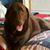 Victoria Brunshidle's profile image