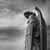 Janet Abramic's profile image
