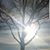Shawna Merrill's profile image