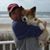 Lisa M Bouchey's profile image