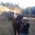 Kathy Roper's profile image