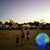 Molly Brew Coria's profile image